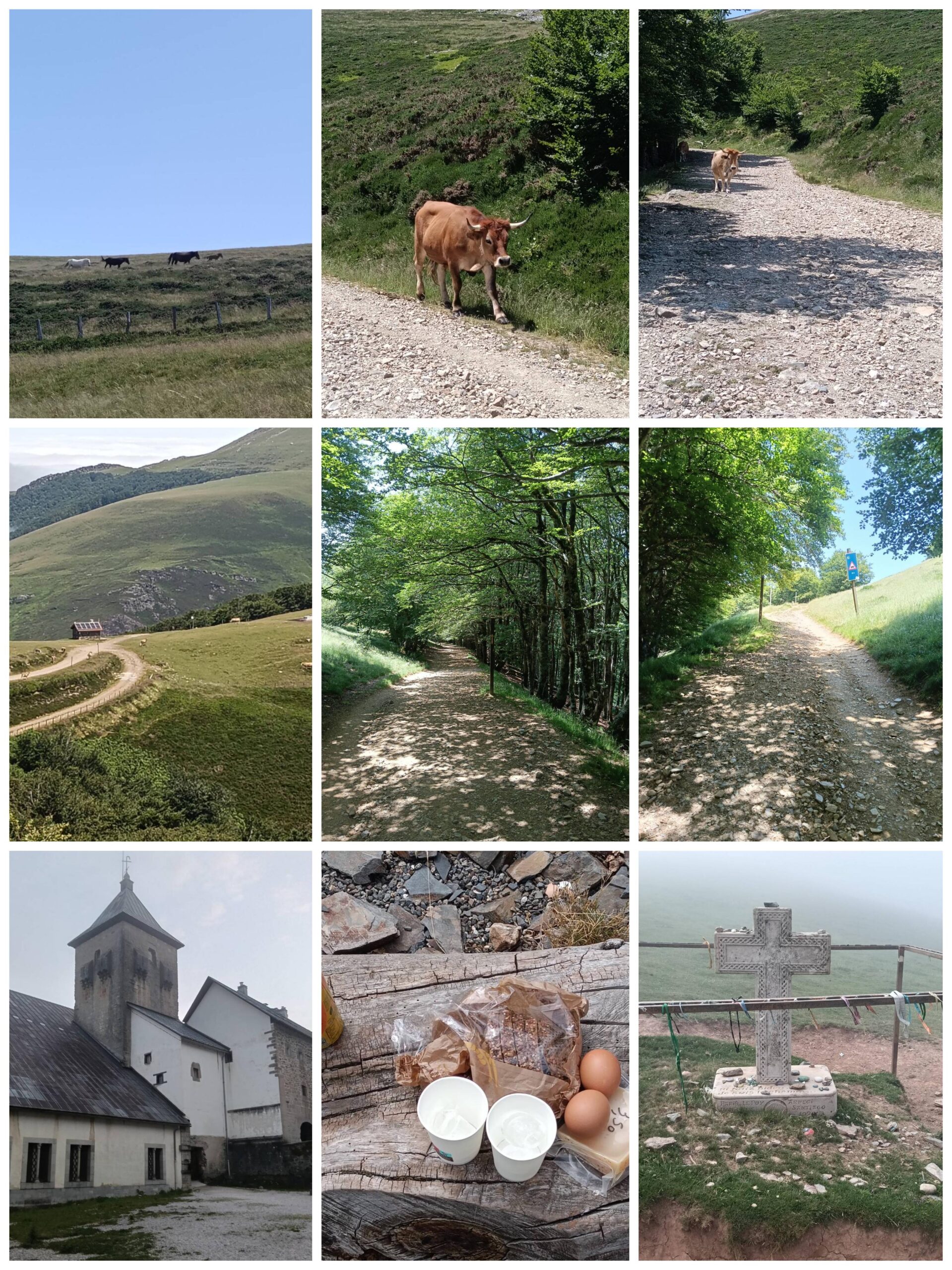 Day 2 — Roncesvalles, Navarra, Spain