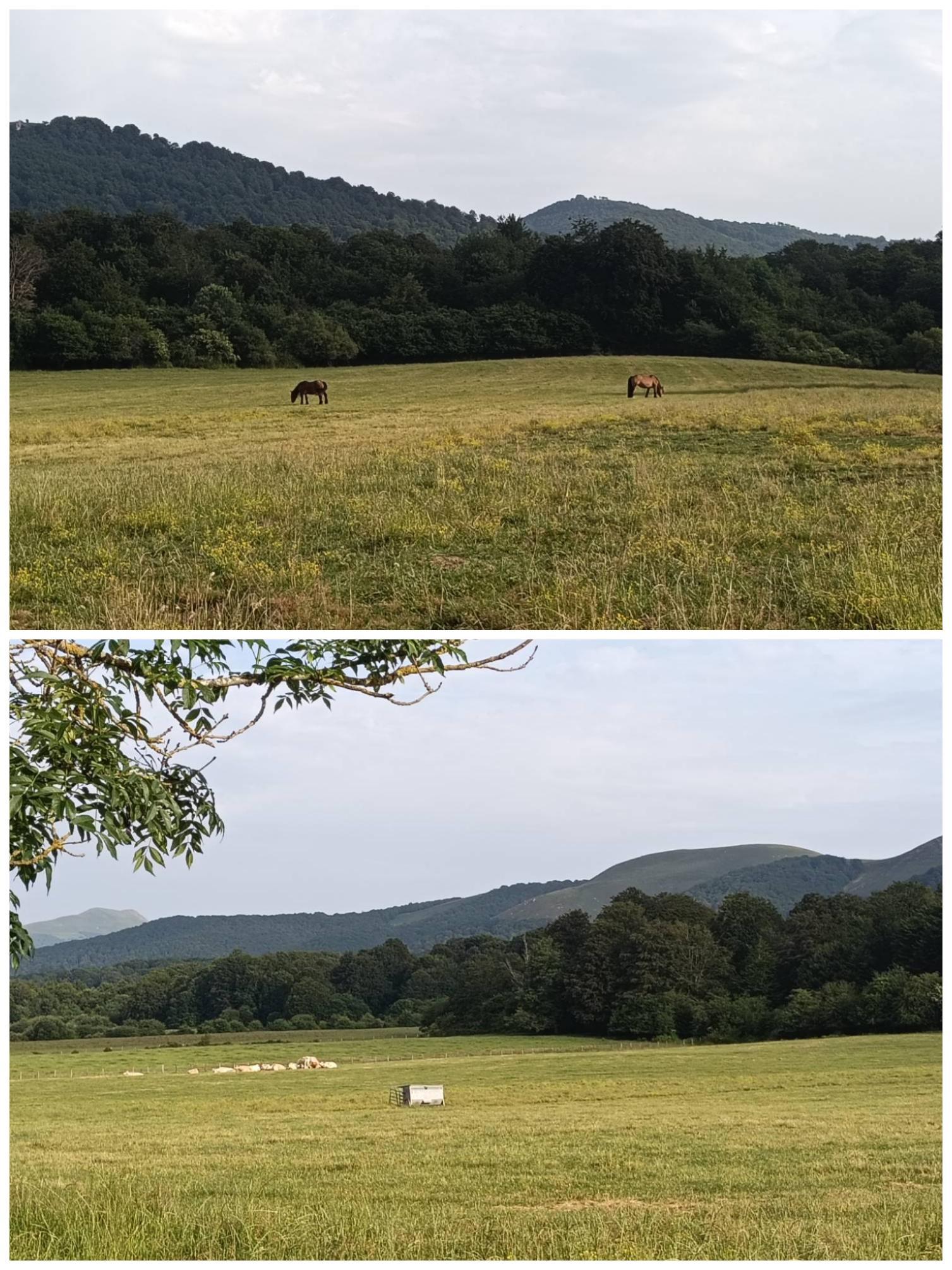 Day 3 — Zubiri, Navarra, Spain
