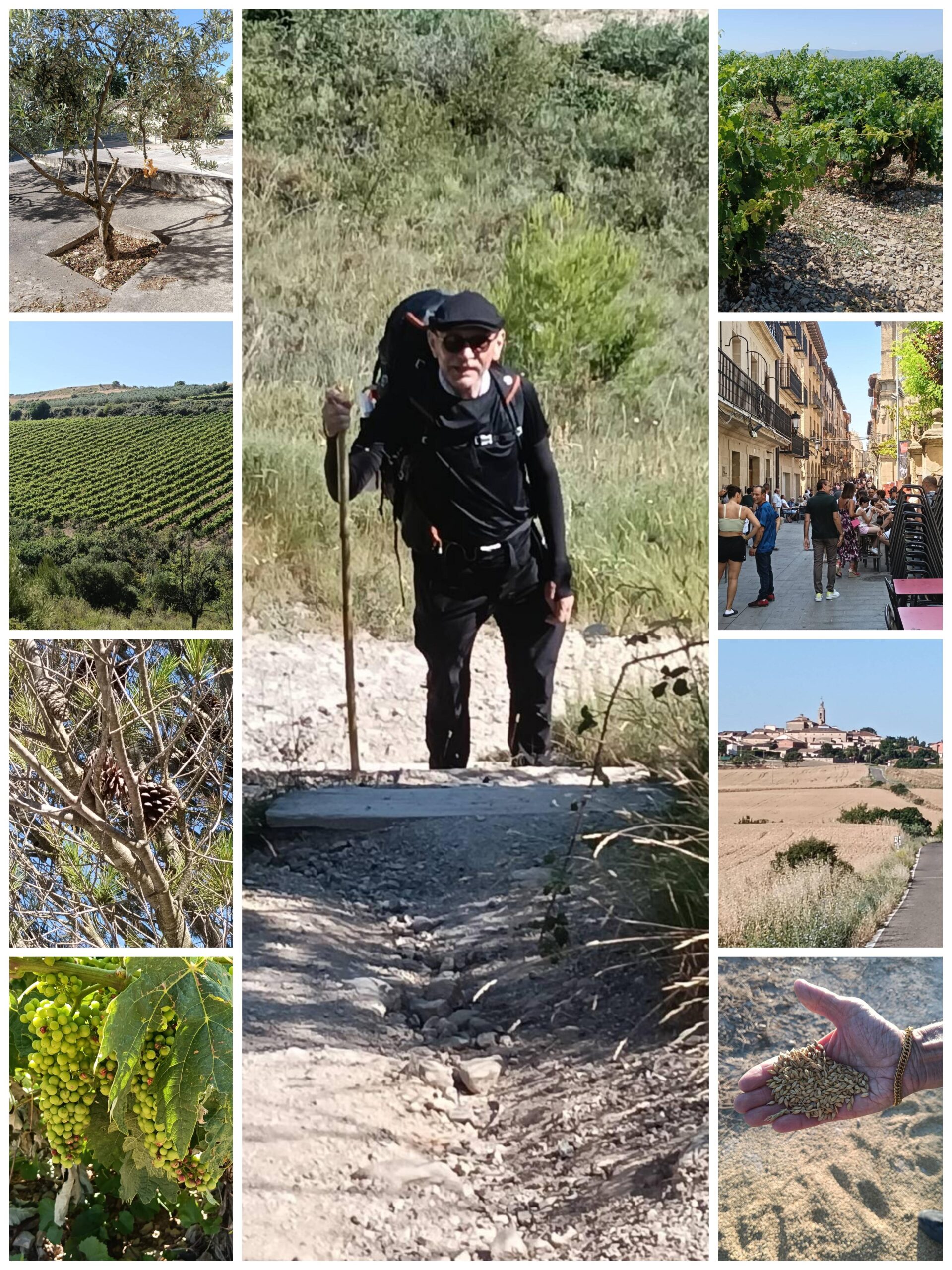 Day 8 — Logroño, La Rioja, Spain