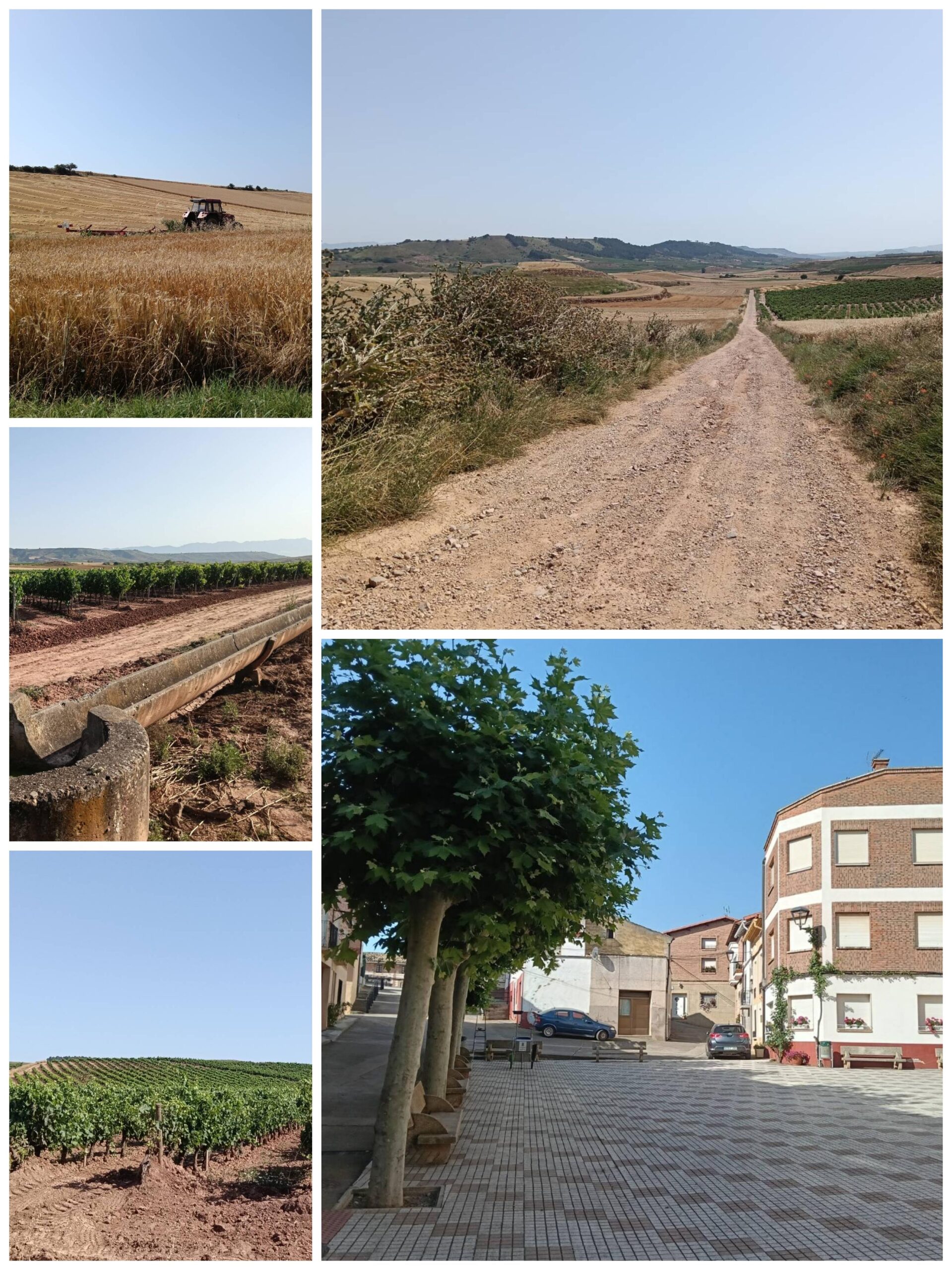 Day 10 — Santo Domingo de la Calzada, La Rioja, Spain